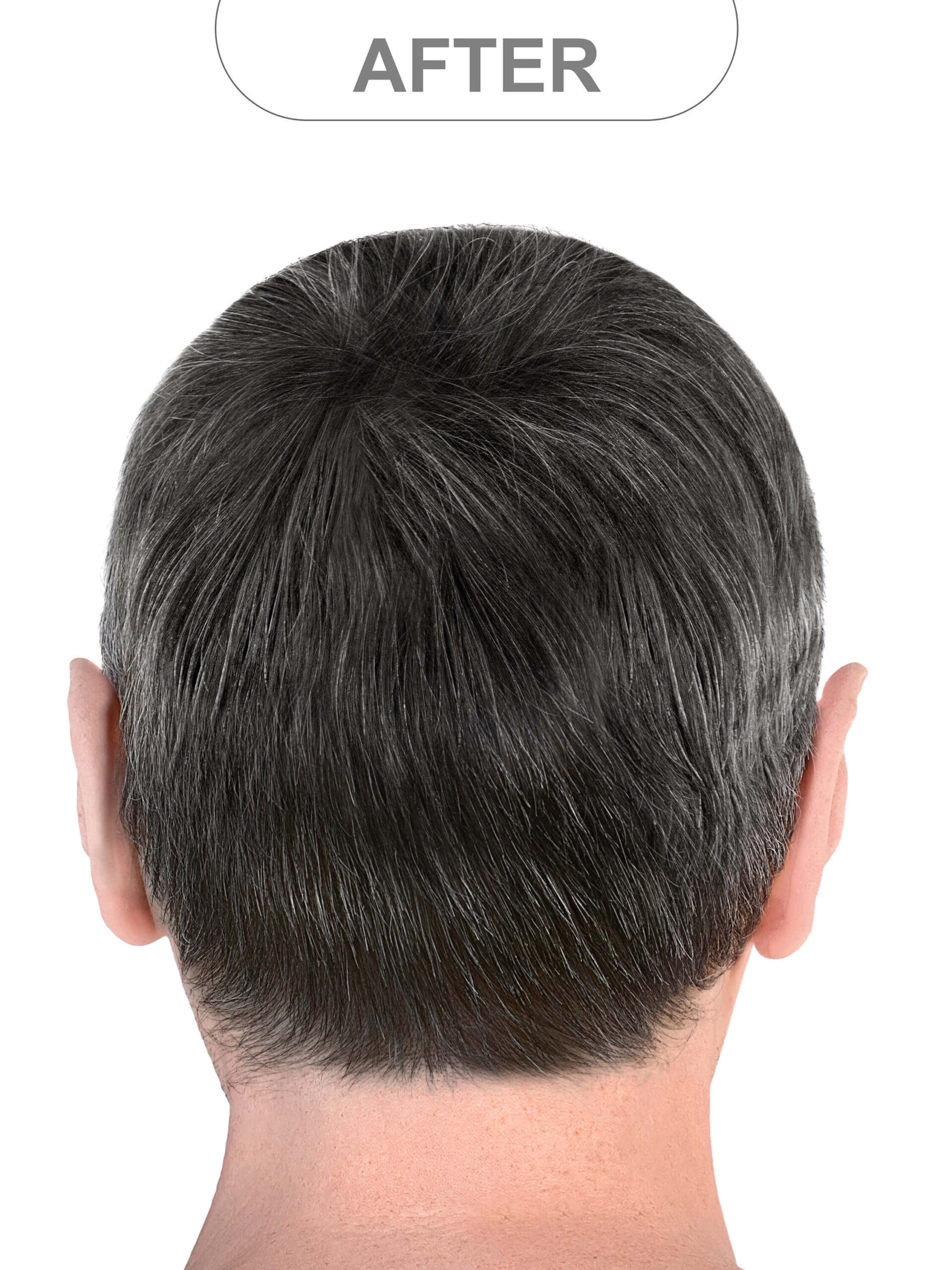 shutterstock_1739791319 (2) (1)